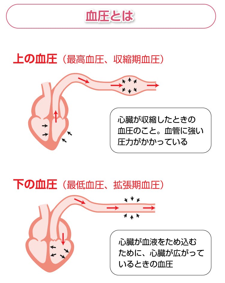 血圧の説明