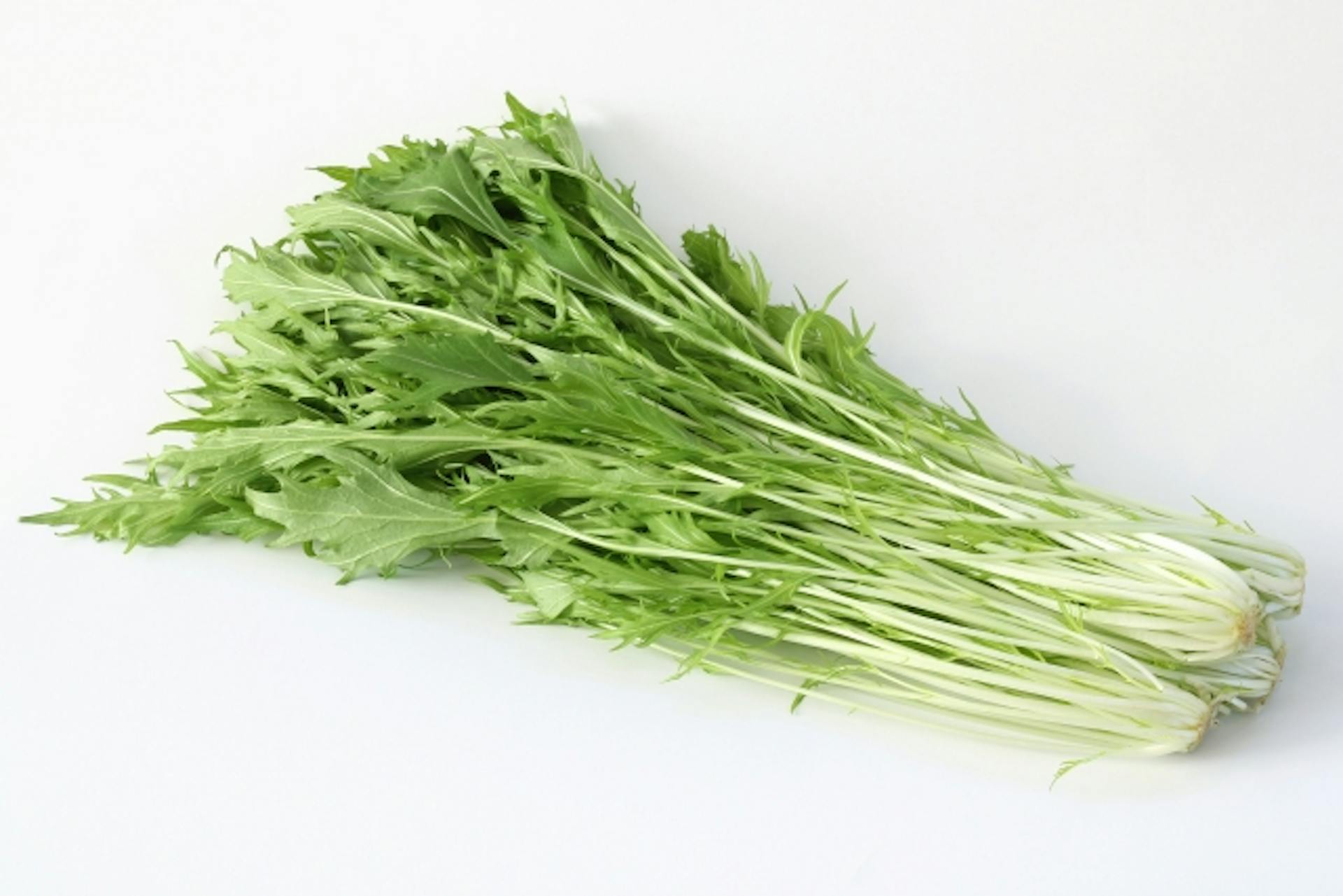 水菜に含まれる栄養素とそのはたらきは？選び方や保存方法も解説！のサムネイル