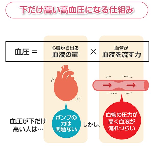 血圧の下が高いときのリスクとは？原因と今からできる予防策まで解説