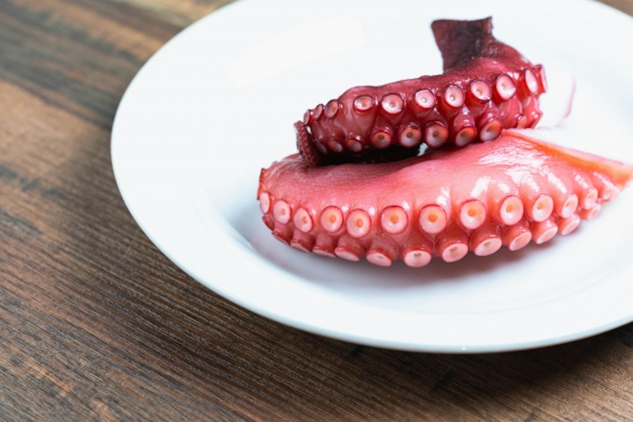 タコに含まれる栄養素や食品成分とは？タコにまつわる疑問も解決のサムネイル