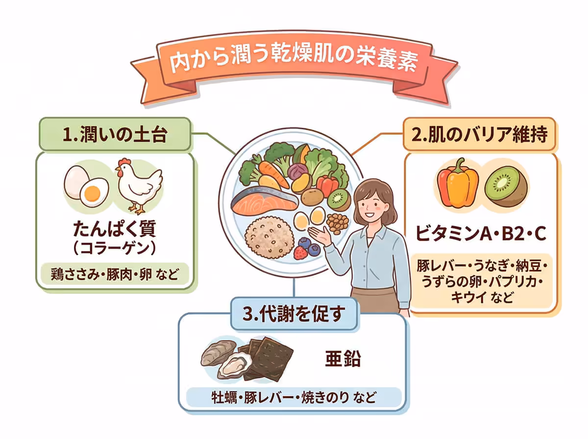 内から潤う乾燥肌の栄養素