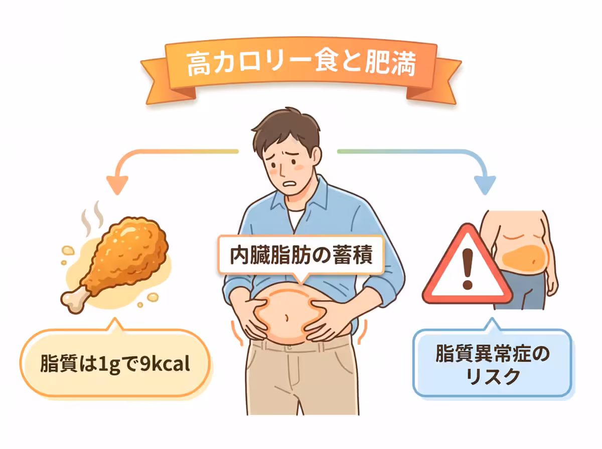 高カロリーと食と肥満