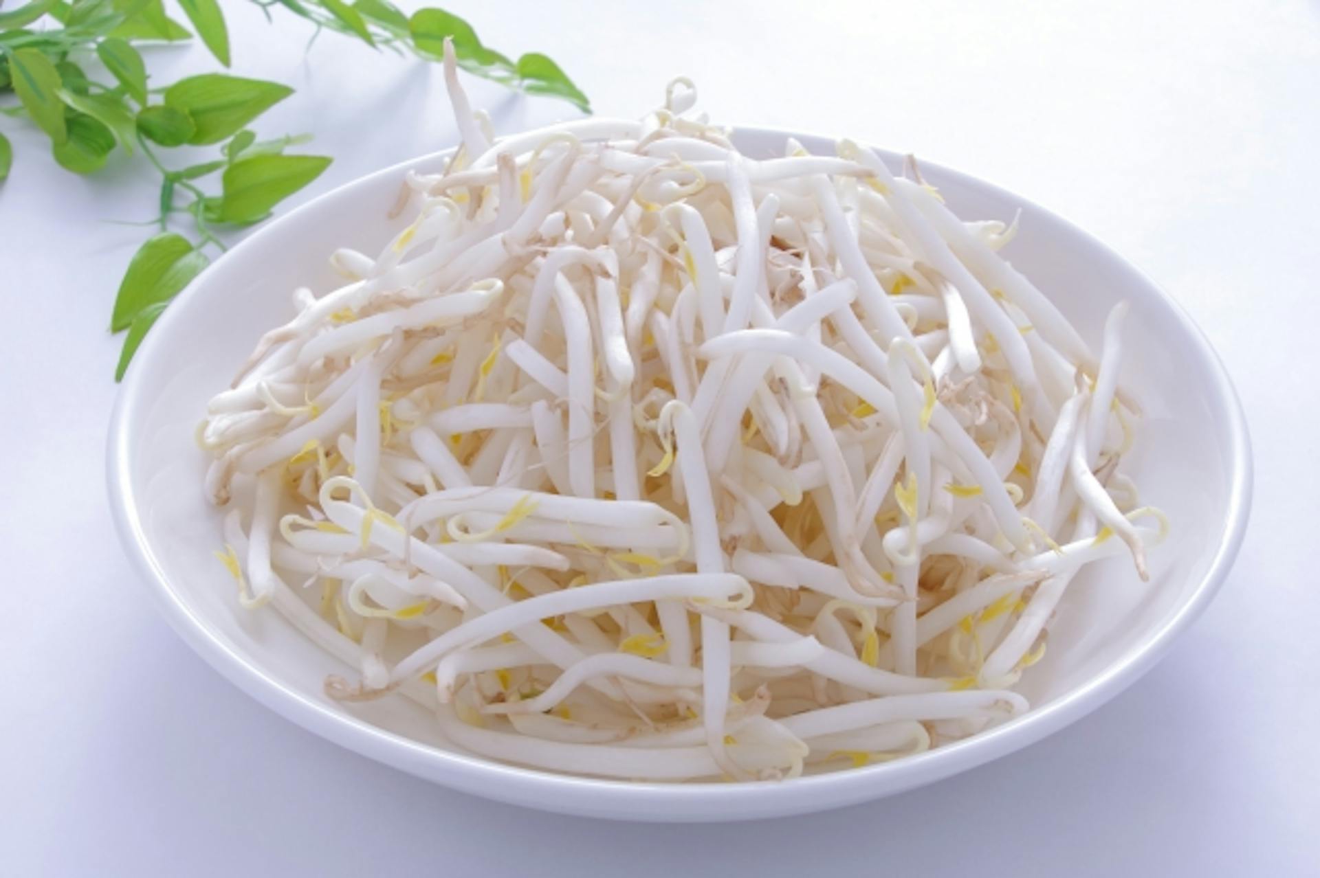 もやしに栄養はある？含まれている栄養素とそのはたらきを解説！のサムネイル