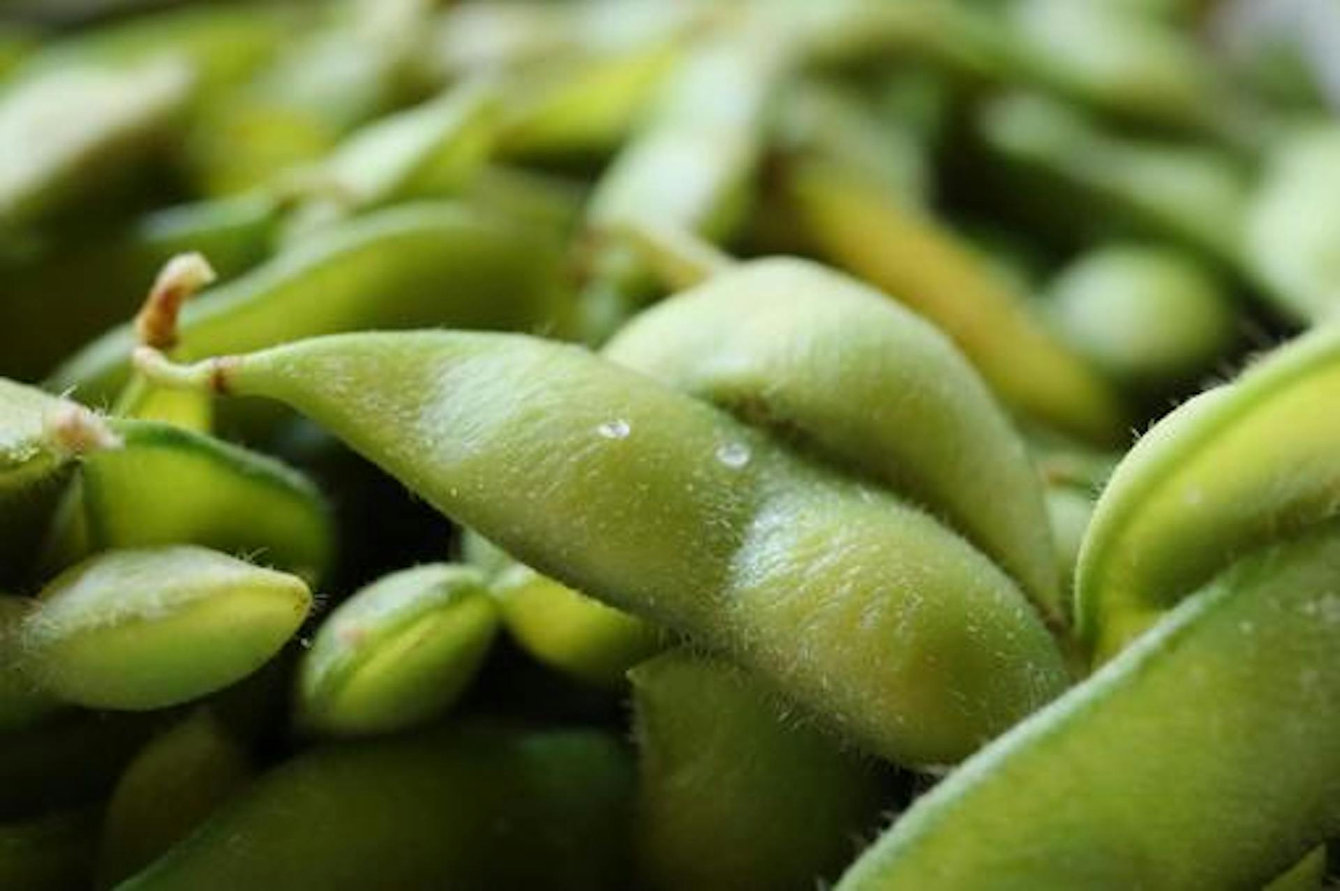 枝豆に含まれる栄養素とは？カロリーや特徴、摂取のポイントも解説のサムネイル