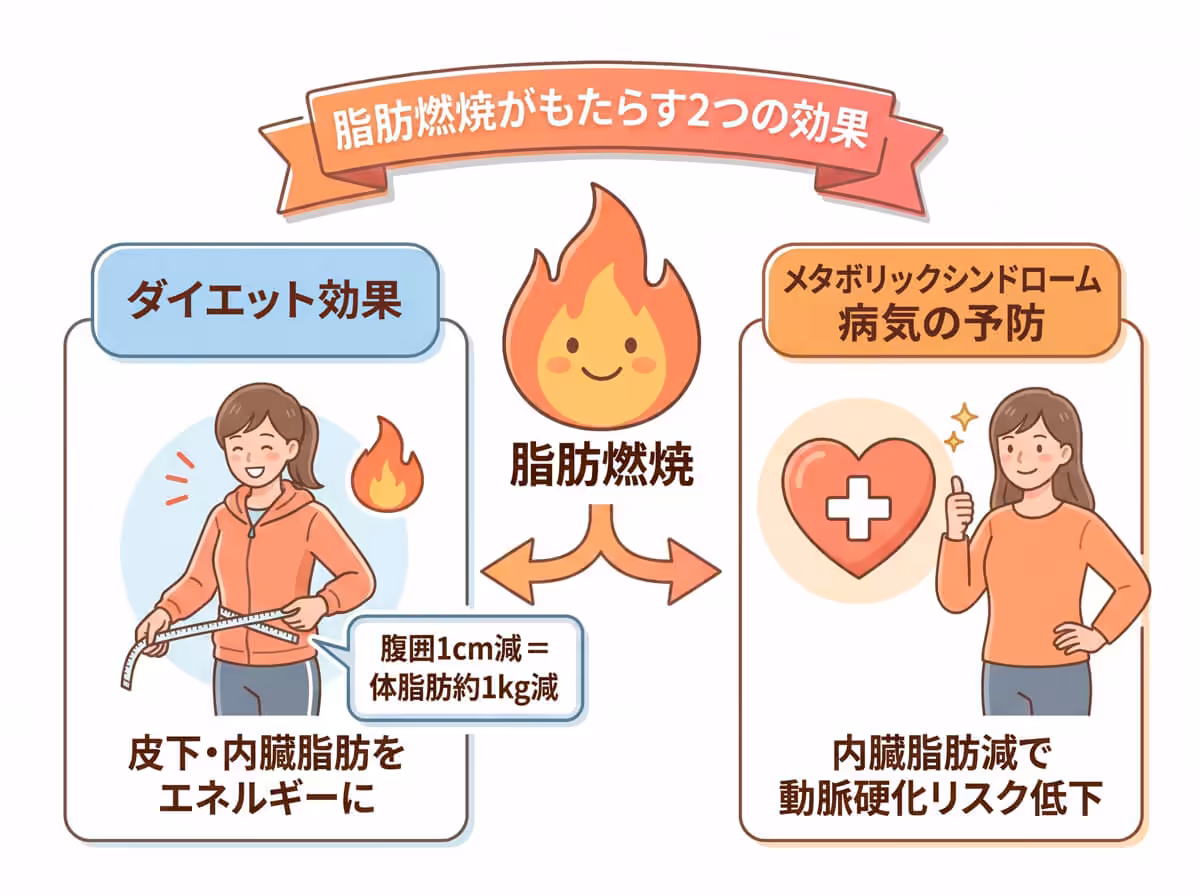 脂肪燃焼がもたらす2つの効果