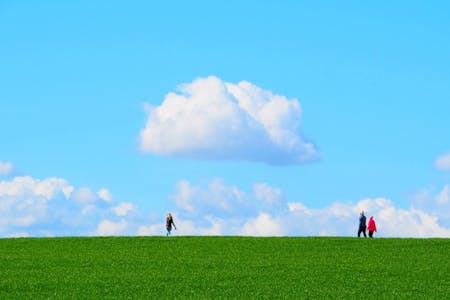 ウォーキングの効果とは？正しいフォームや効果的に行うコツも解説