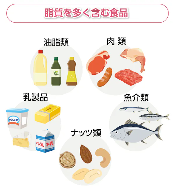 脂質を多く含む食品
