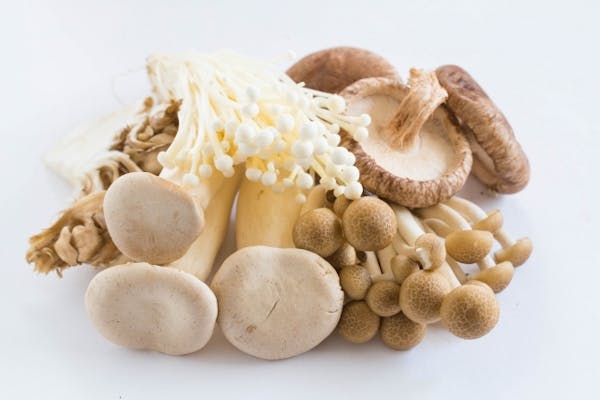 エリンギやえのき茸などのきのこ類