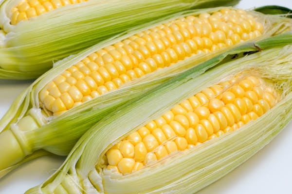 皮のついた生のとうもろこし