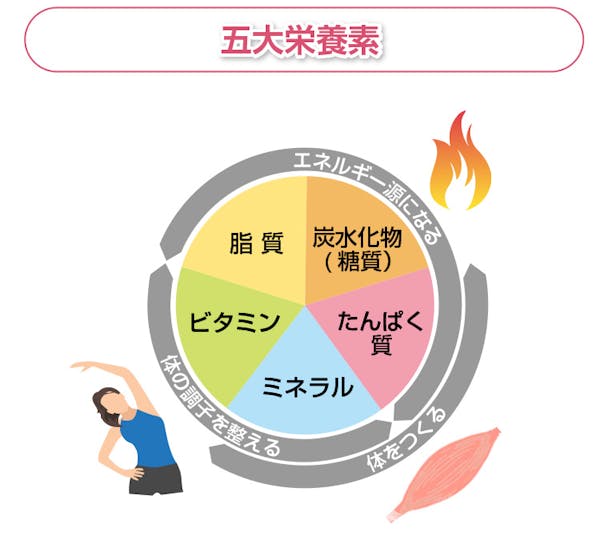 五大栄養素