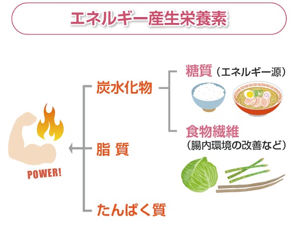 エネルギー産生栄養素の解説図
