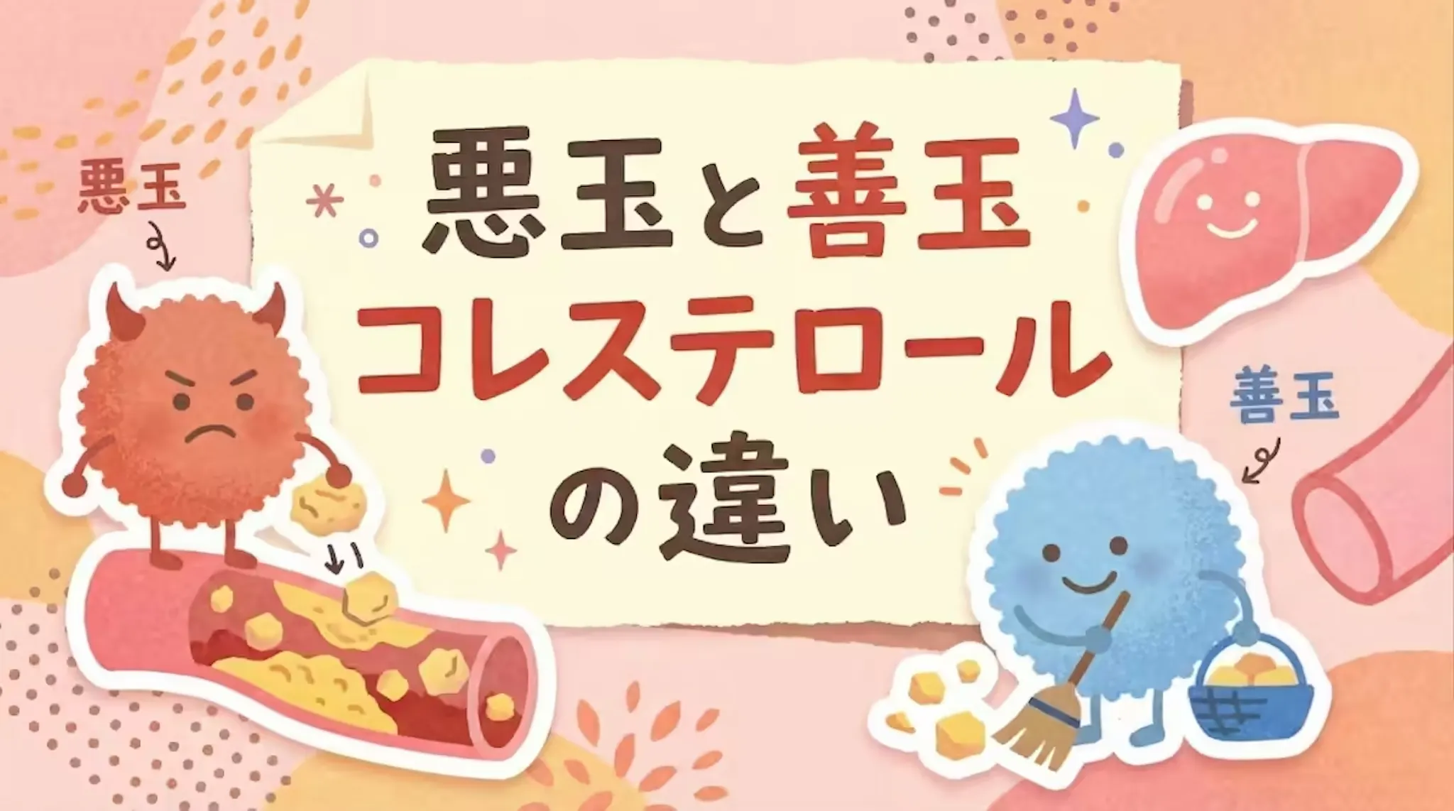コレステロールの種類を徹底解説！悪玉と善玉の働きとリスクの違いのサムネイル