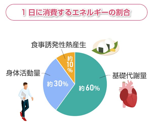 1日に消費するエネルギーの割合