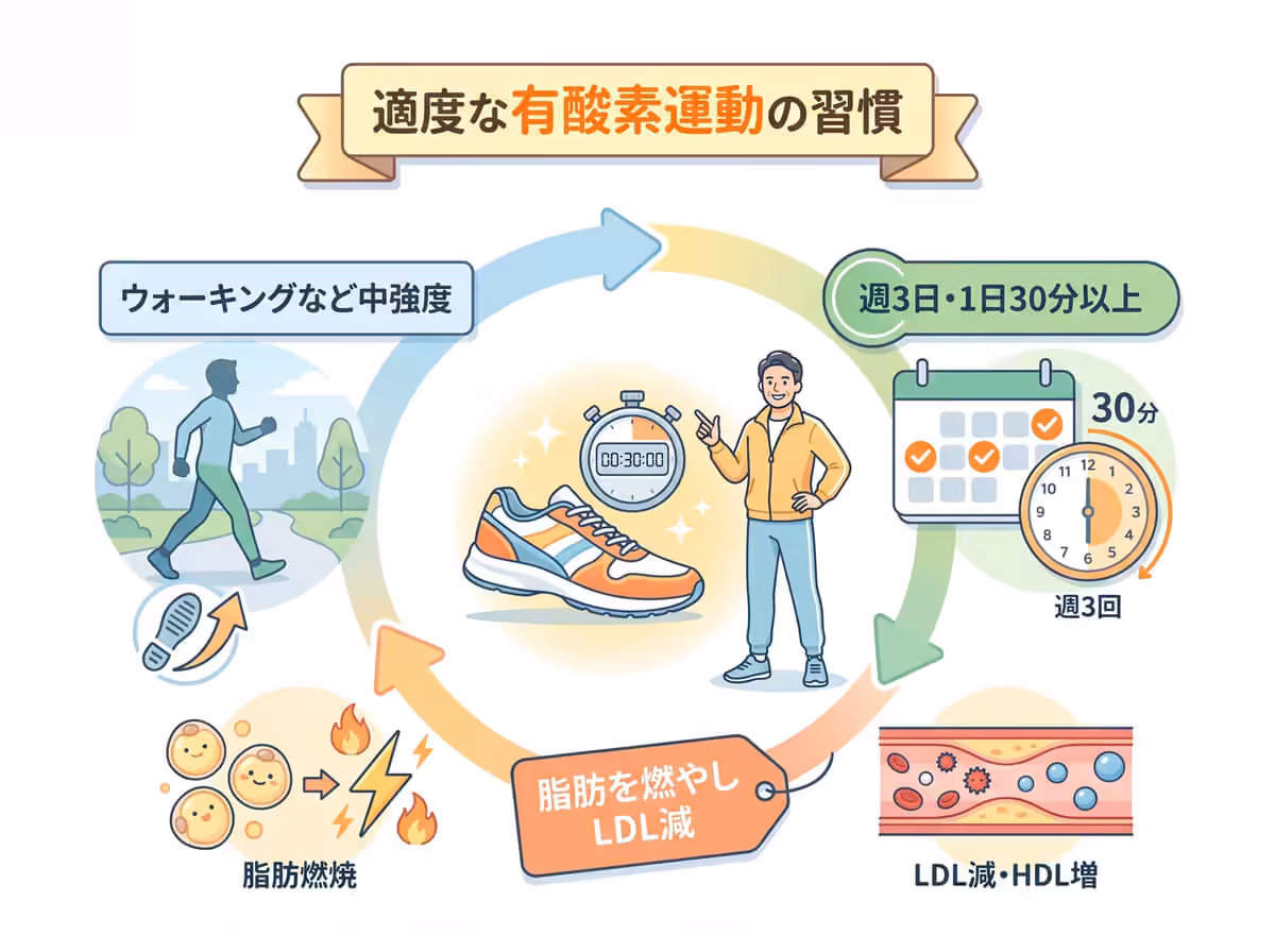 適度な有酸素運動の習慣