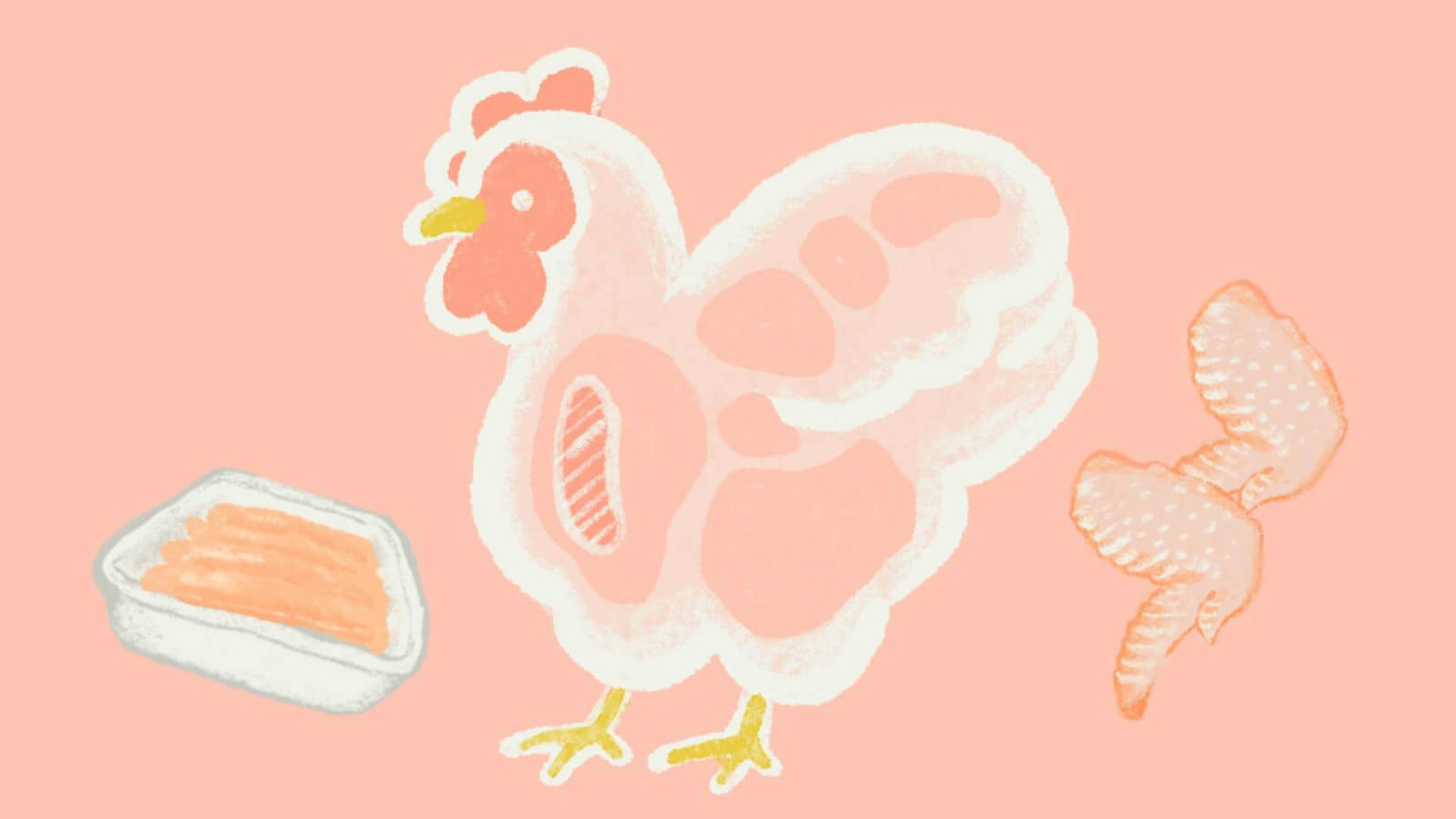 鶏肉の部位別タンパク質含有量は？摂取する際の注意点についても解説のサムネイル