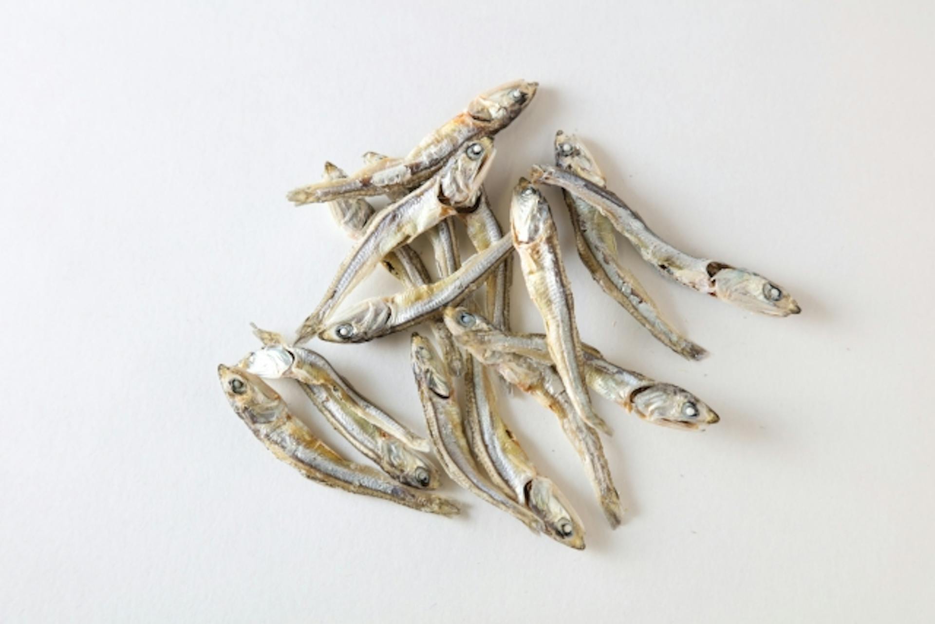 リンとは？はたらきや過不足による影響、食事摂取基準などを紹介のサムネイル