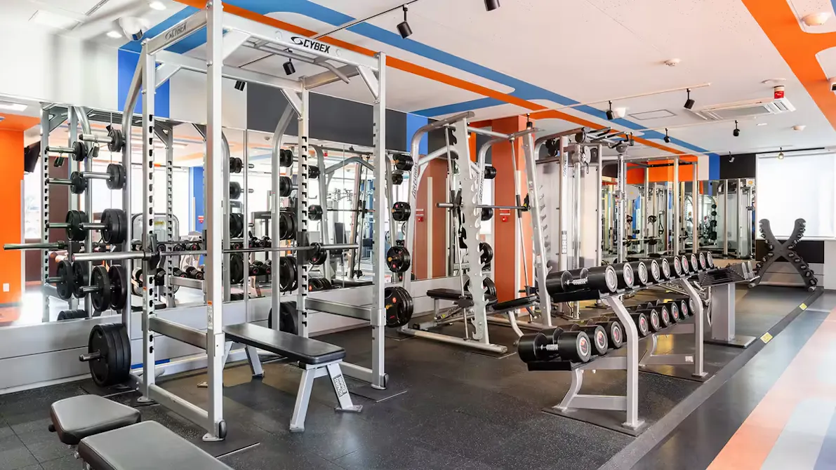 ファストジム24 (FASTGYM24) 蒲生店の画像