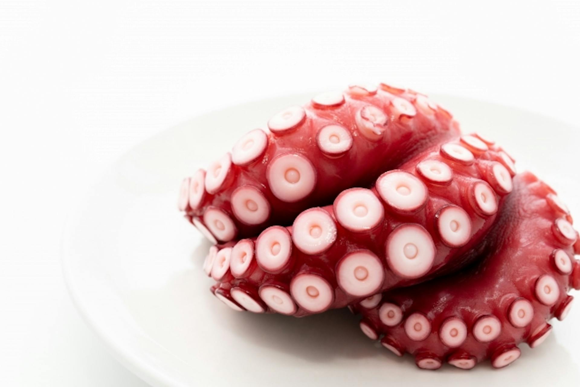 タウリンの効果とは？摂取源となる食品や摂取の際のポイントも紹介のサムネイル