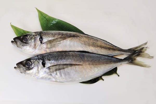 二尾の生魚