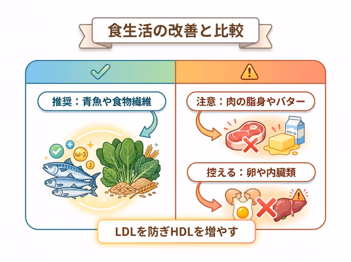 食生活の改善と比較