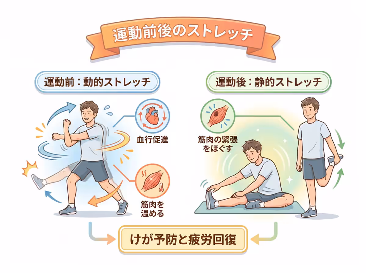 運動前後のストレッチ