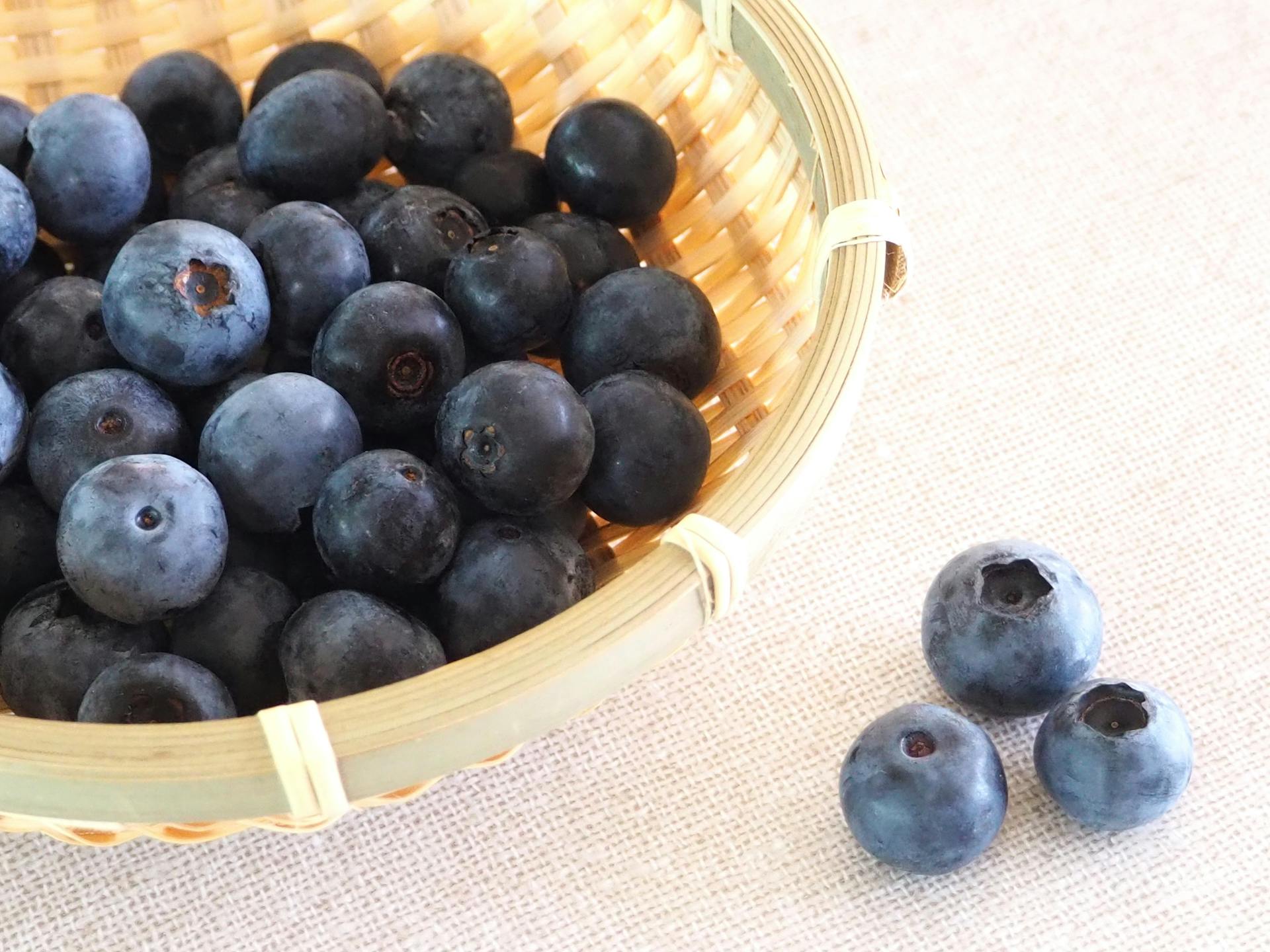 アントシアニンとは？目や健康への効果や摂取のポイントについて解説のサムネイル