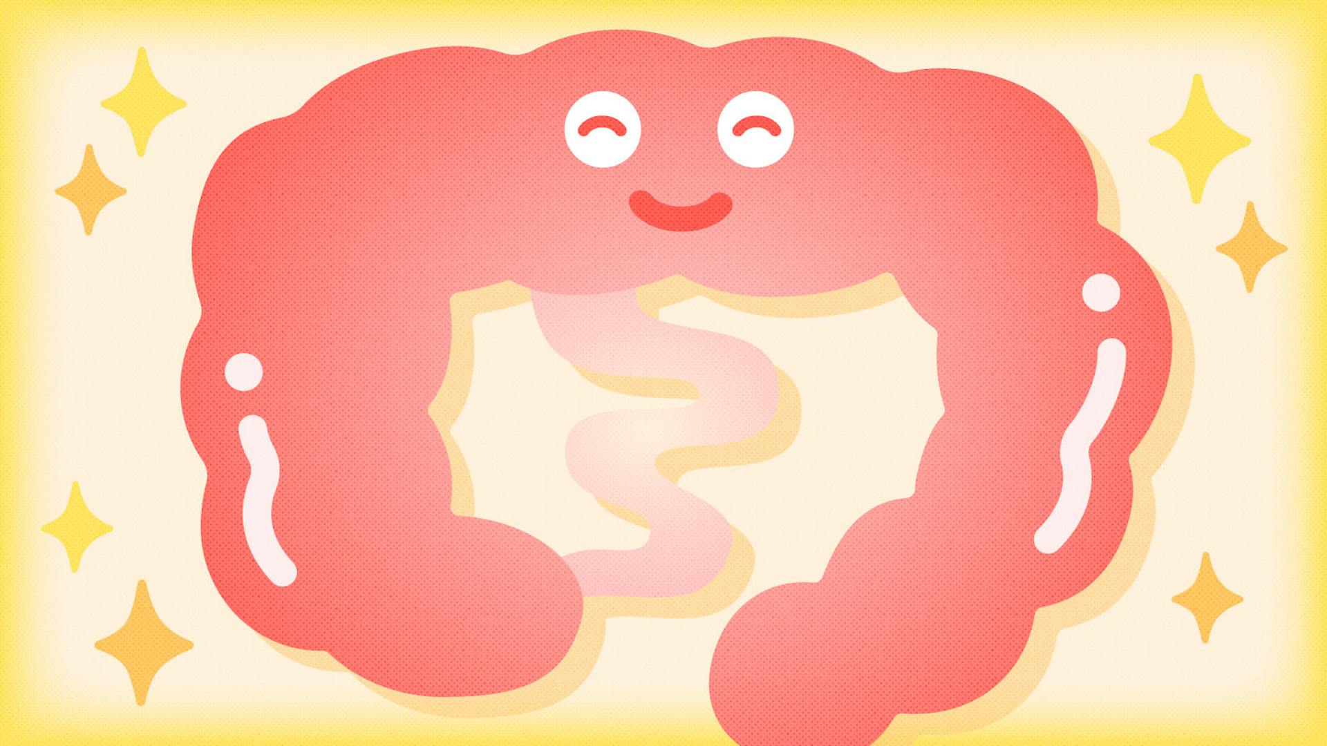 腸内環境を整えるとどんなメリットが？体にうれしい効果を徹底解説のサムネイル