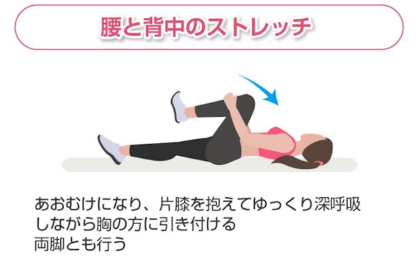 腰と背中のストレッチ