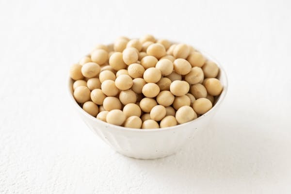 生の大豆