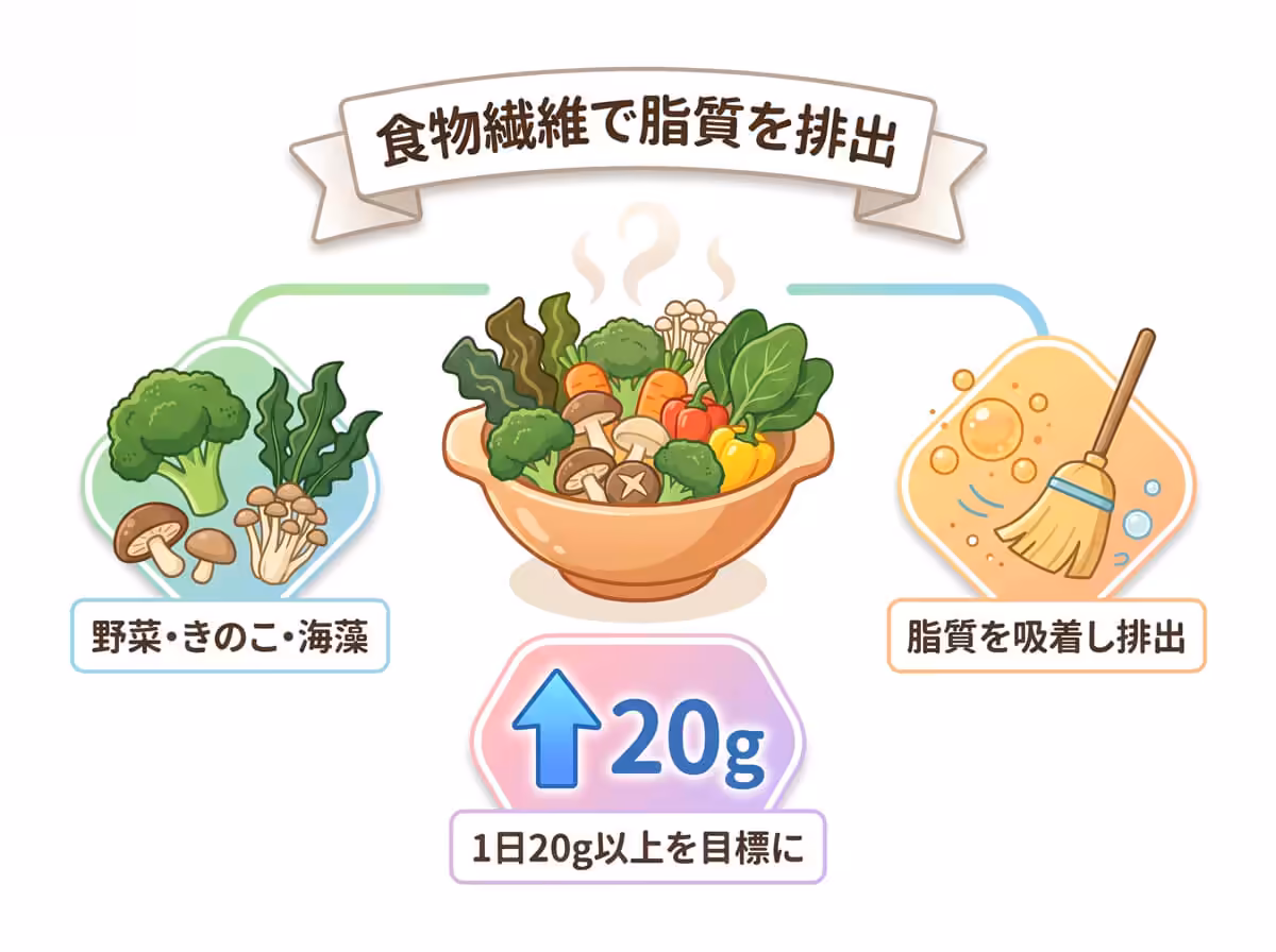 食物繊維で脂質を排出