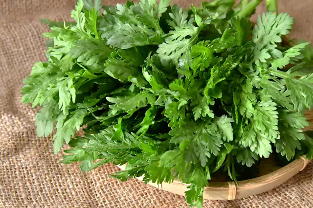 春菊に含まれる栄養素とは？おいしく食べるためのポイントも解説のサムネイル