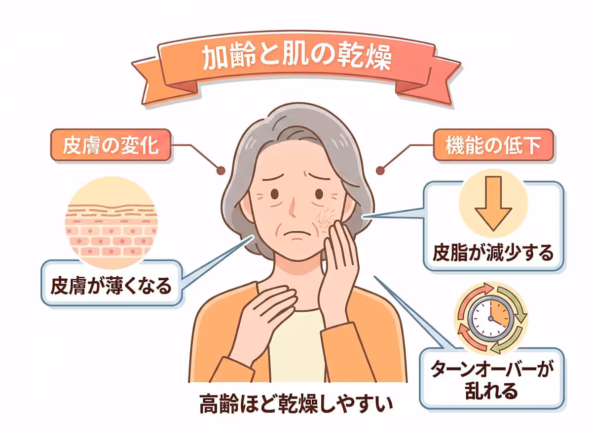 加齢と肌の乾燥