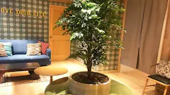 ホットヨガスタジオ LOIVE 長岡店の画像