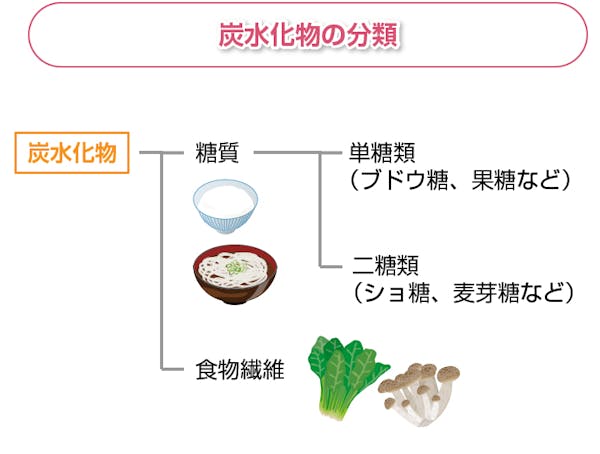 炭水化物の分類