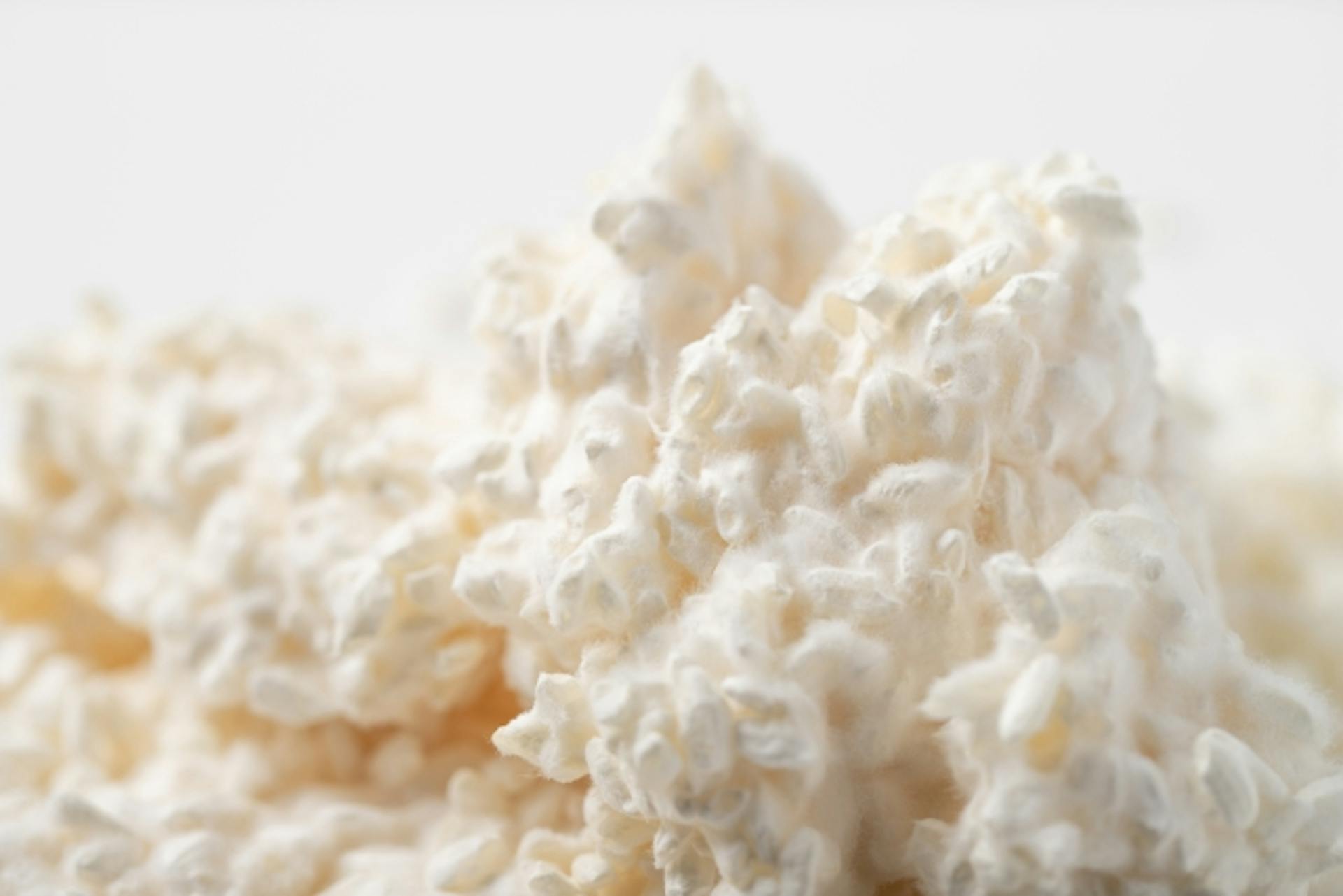 麹（こうじ）とは？種類や使われている食品、糀との違いについて解説のサムネイル