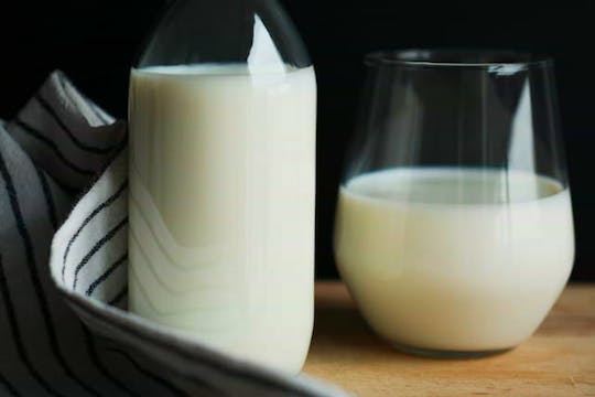 豆乳と牛乳に含まれる栄養素の違いとは？摂取のポイントも紹介！