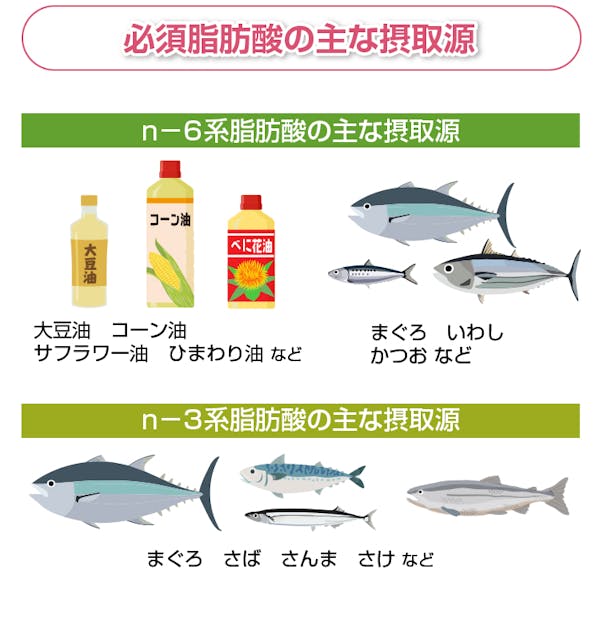 必須脂肪酸の主な摂取源