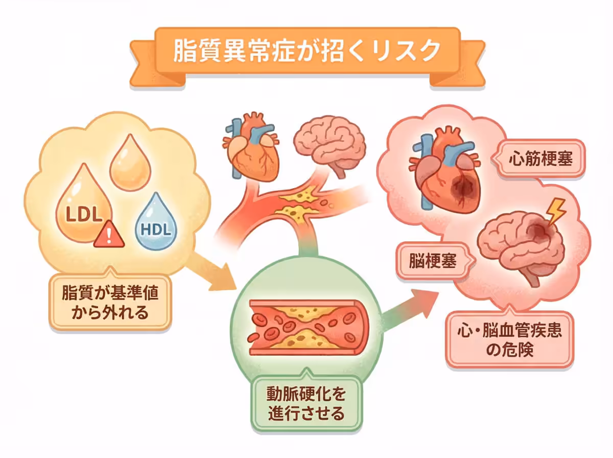 脂質異常症が招くリスク