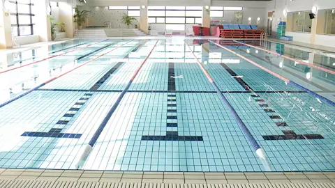 ティップネス･キッズ 大泉学園店の写真2