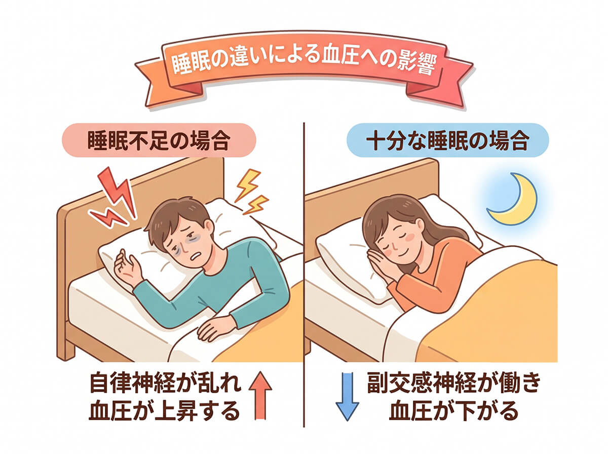 睡眠の違いによる血圧への影響