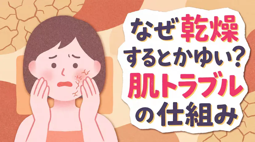 乾燥でかゆみが起こる理由とは？肌トラブルのメカニズムを詳しく解説のサムネイル