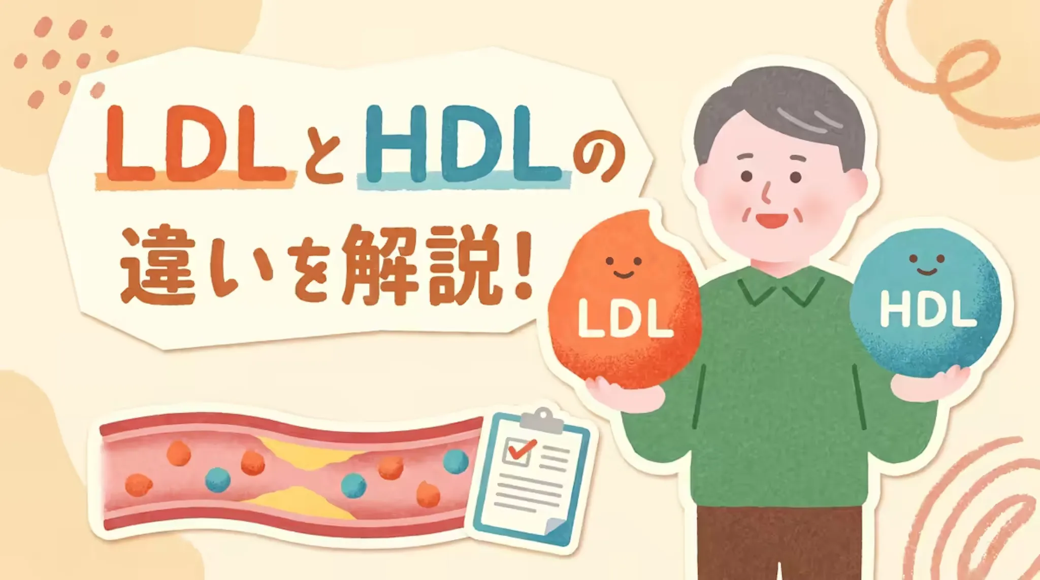LDL・HDLの違いをわかりやすく！コレステロールの基本知識まとめ！のサムネイル