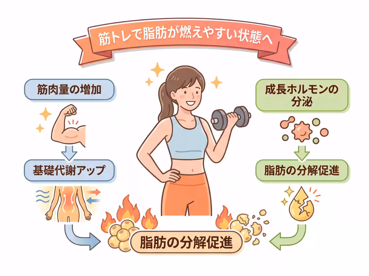 筋トレで脂肪が燃えやすい状態へ