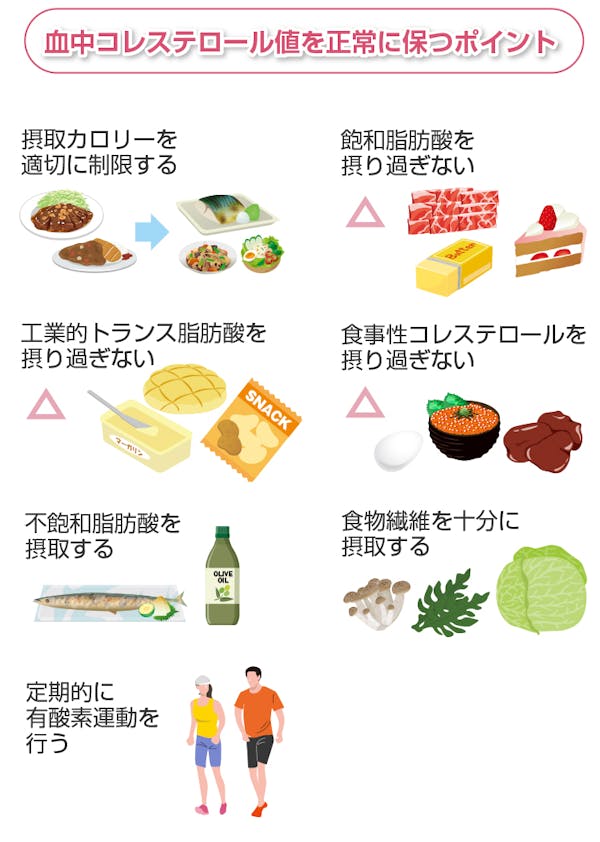 血中コレステロール値を正常に保つためのポイント