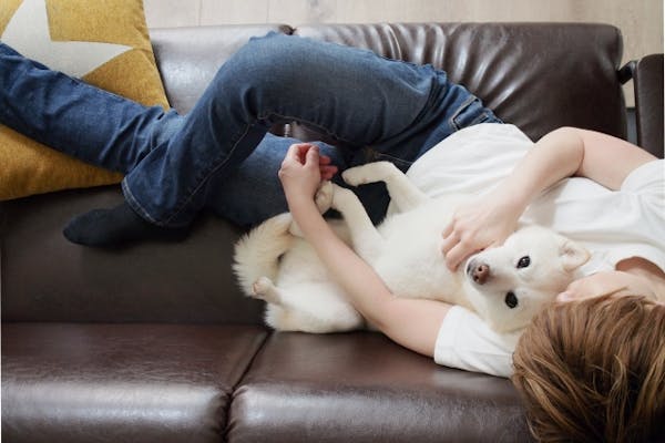 ソファで犬とくつろぐ人