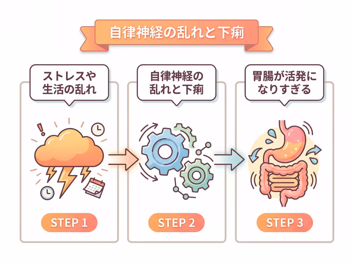 自律神経の乱れと下痢