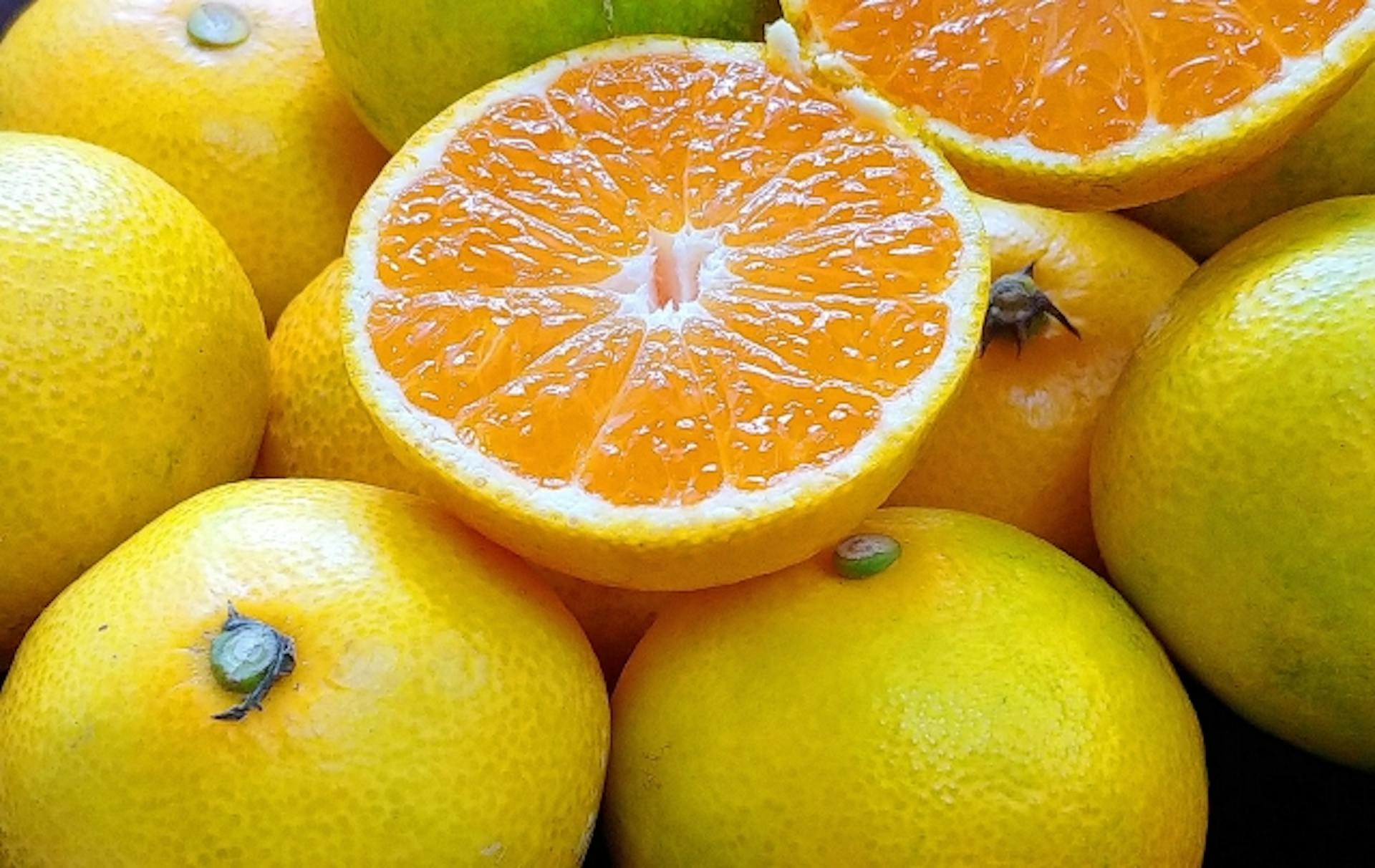 ビタミンCを多く含む食べ物は？適切な摂取量や摂取のポイントも解説のサムネイル