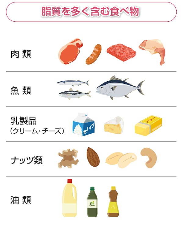 脂質を多く含む食べ物