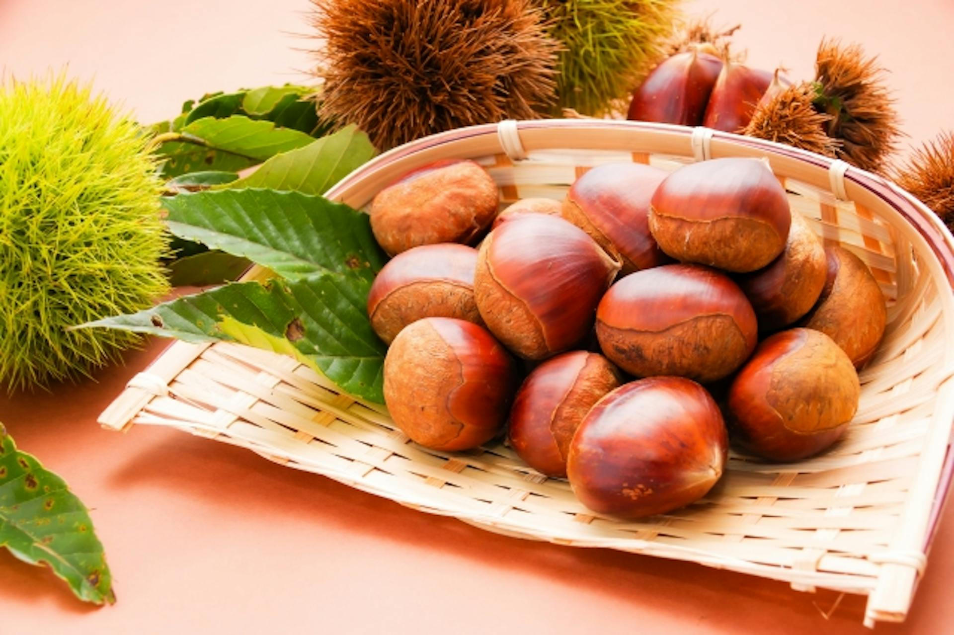 くりに含まれる栄養素とは？おいしいくりの選び方、保存方法も解説のサムネイル