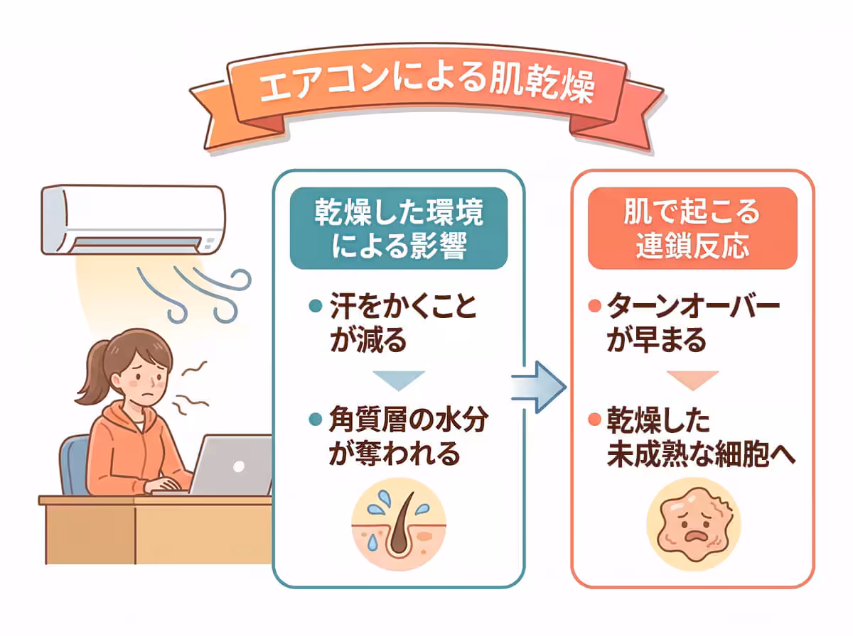 エアコンによる肌乾燥